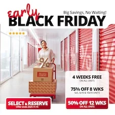 Access Storage - Dewdney Promotion