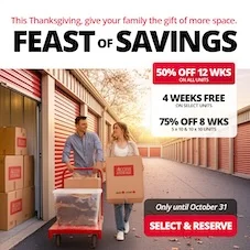 Access Storage - Dewdney Promotion