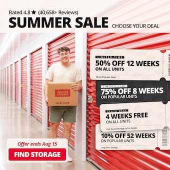Access Storage - Dewdney Promotion